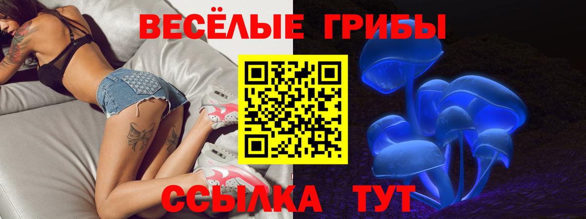 Псилоцибиновые грибы мухоморы  Вход с VPN  Гусев 